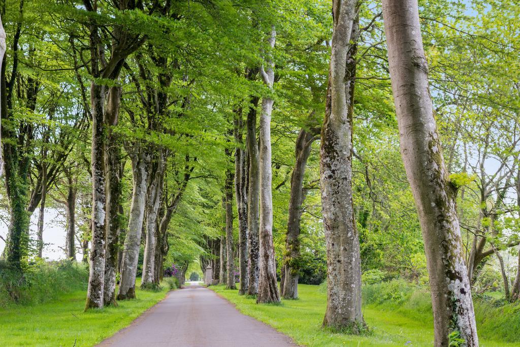 Отель Manoir De Kerhuel De Quimper Ploneour-Lanvern Экстерьер фото